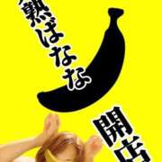 ヒメ日記 2026/07/02 10:39 投稿 こいと 完熟ばなな札幌・すすきの