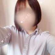 ヒメ日記 2025/04/12 11:53 投稿 橋本 じゅね アソビザ女子社員 イメクラ部