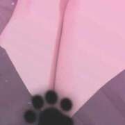 ヒメ日記 2024/12/30 14:18 投稿 まなと 京都BOOK MARK（ブックマーク）