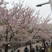 ヒメ日記 2026/04/05 21:36 投稿 あい One More奥様　蒲田店