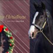 ヒメ日記 2024/12/26 01:10 投稿 ゆう なでし娘