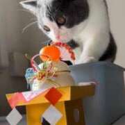 ヒメ日記 2025/01/01 09:28 投稿 ゆう なでし娘