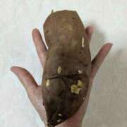 ヒメ日記 2025/04/15 11:34 投稿 ふゆみ 熟女の風俗最終章 仙台店