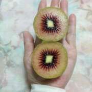 ヒメ日記 2025/04/19 08:17 投稿 ふゆみ 熟女の風俗最終章 仙台店