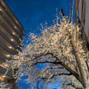 ヒメ日記 2025/04/25 07:44 投稿 ふゆみ 熟女の風俗最終章 仙台店