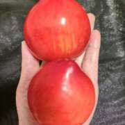 ヒメ日記 2025/06/26 11:50 投稿 ふゆみ 熟女の風俗最終章 仙台店