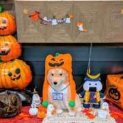 ヒメ日記 2025/10/31 15:32 投稿 ふゆみ 熟女の風俗最終章 仙台店