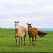 ヒメ日記 2026/01/03 08:14 投稿 ふゆみ 熟女の風俗最終章 仙台店