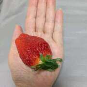 ヒメ日記 2026/02/01 10:34 投稿 ふゆみ 熟女の風俗最終章 仙台店