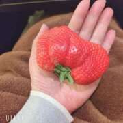 ヒメ日記 2026/03/07 08:15 投稿 ふゆみ 熟女の風俗最終章 仙台店