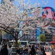 ヒメ日記 2026/04/03 12:44 投稿 ふゆみ 熟女の風俗最終章 仙台店