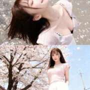ヒメ日記 2026/04/26 15:14 投稿 ゆみ PHANTOM(ファントム)
