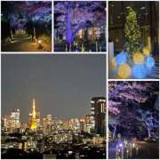 ヒメ日記 2024/12/11 18:04 投稿 麻里(まり) 人妻出逢い会 百合の園 池袋店