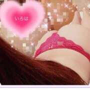 ヒメ日記 2024/12/17 19:55 投稿 いろは 横浜人妻花壇本店