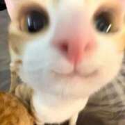 みや☆業界未経験の刺激的な初体験 届いた？💝 ジャックと豆の木