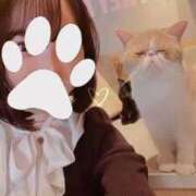 ヒメ日記 2025/02/06 14:59 投稿 みなみ チェックイン素人専門大人女子