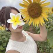 ヒメ日記 2025/08/04 11:29 投稿 みなみ チェックイン素人専門大人女子