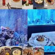 ヒメ日記 2025/08/29 12:03 投稿 栗原(くりはら) ミラクル☆ハニー