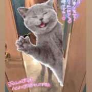 ヒメ日記 2025/08/11 19:26 投稿 ひまわり 太田人妻城