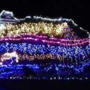 ヒメ日記 2024/12/24 15:46 投稿 かやの 熟女の風俗アウトレット大垣安八羽島店