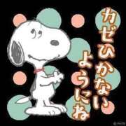 ヒメ日記 2024/12/27 00:16 投稿 かやの 熟女の風俗アウトレット大垣安八羽島店