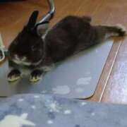 ヒメ日記 2025/02/03 21:26 投稿 かやの 熟女の風俗アウトレット大垣安八羽島店