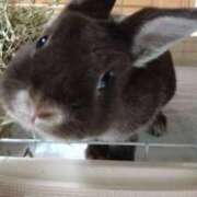 ヒメ日記 2025/03/11 17:26 投稿 かやの 熟女の風俗アウトレット大垣安八羽島店