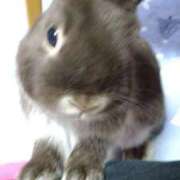 ヒメ日記 2025/03/18 09:26 投稿 かやの 熟女の風俗アウトレット大垣安八羽島店