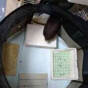 ヒメ日記 2025/03/21 08:25 投稿 かやの 熟女の風俗アウトレット大垣安八羽島店