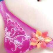 ヒメ日記 2024/12/12 11:49 投稿 りかこ ぷるるん小町日本橋店