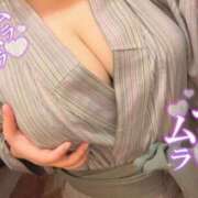 ヒメ日記 2025/02/11 12:36 投稿 りかこ ぷるるん小町日本橋店