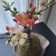 ヒメ日記 2025/01/31 14:22 投稿 深田 メガフォース