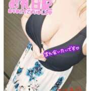 ヒメ日記 2025/04/11 01:37 投稿 こころ 千葉人妻花壇