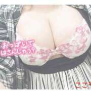 ヒメ日記 2025/04/14 01:19 投稿 こころ 千葉人妻花壇