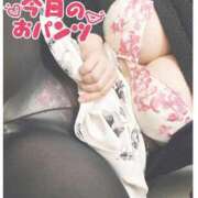 ヒメ日記 2025/04/21 20:43 投稿 こころ 千葉人妻花壇