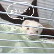 ヒメ日記 2025/01/03 20:28 投稿 りり Number Five 品川（シンデレラグループ）