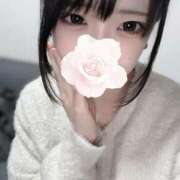 ヒメ日記 2025/03/04 18:35 投稿 りり Number Five 品川（シンデレラグループ）