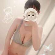 ヒメ日記 2025/03/23 17:21 投稿 りり Number Five 品川（シンデレラグループ）