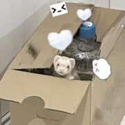 ヒメ日記 2025/06/30 21:42 投稿 りり Number Five 品川（シンデレラグループ）