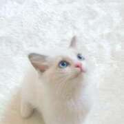 ヒメ日記 2025/02/13 17:23 投稿 KONAMI（こなみ） UTAKATA