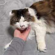 ヒメ日記 2025/05/12 19:03 投稿 KONAMI（こなみ） UTAKATA