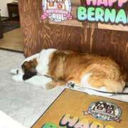 ヒメ日記 2025/05/31 08:03 投稿 KONAMI（こなみ） UTAKATA