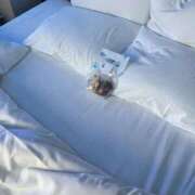 ヒメ日記 2025/06/12 00:53 投稿 KONAMI（こなみ） UTAKATA