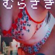 ヒメ日記 2025/11/14 16:12 投稿 むらさき モアグループ 土浦人妻花壇