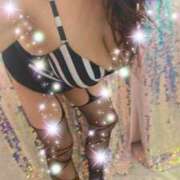 ヒメ日記 2025/11/15 01:03 投稿 むらさき モアグループ 土浦人妻花壇