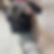 ヒメ日記 2025/07/26 18:58 投稿 あの さくらん