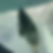 ヒメ日記 2025/07/31 18:58 投稿 あの さくらん