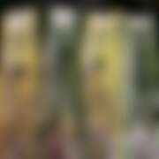 ヒメ日記 2025/08/01 18:50 投稿 あの さくらん