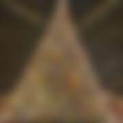 ヒメ日記 2025/12/25 21:51 投稿 あの さくらん