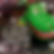 ヒメ日記 2026/02/14 17:21 投稿 あの さくらん